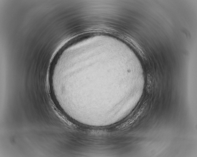 X0000110950788200907101306