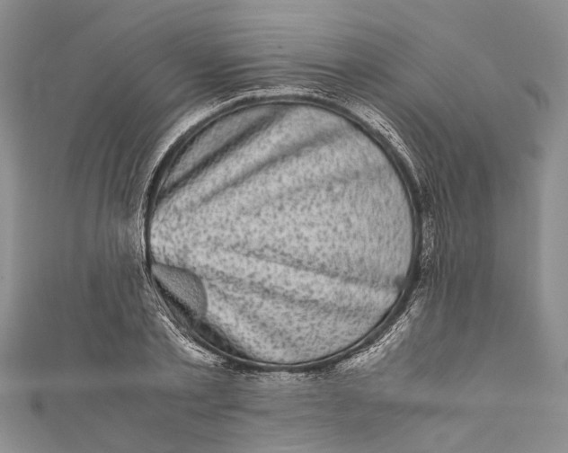 X0000110950789200907101306