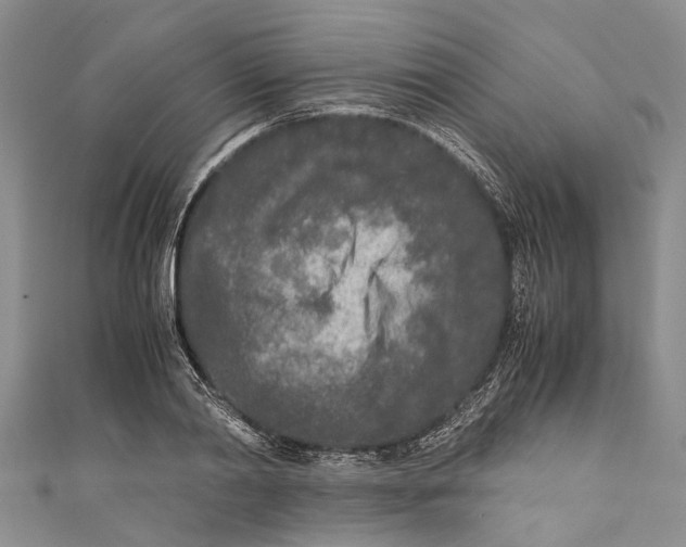 X0000110950790200907101306