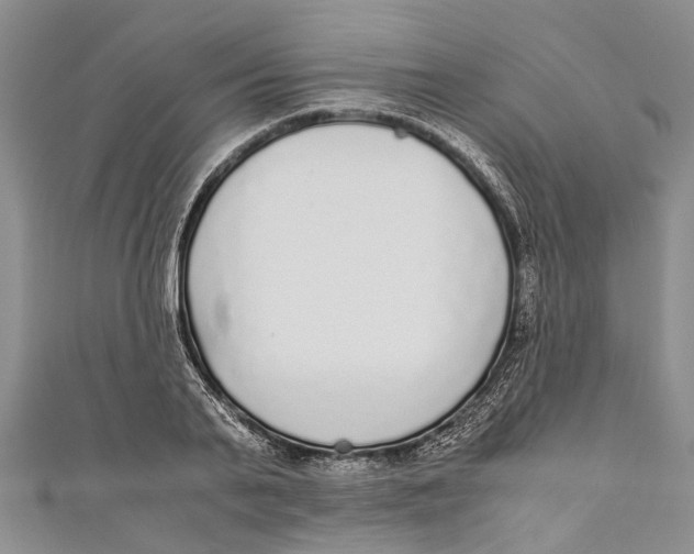 X0000110950791200907101306