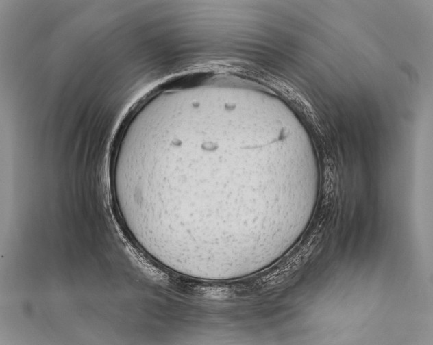 X0000110950792200907101306