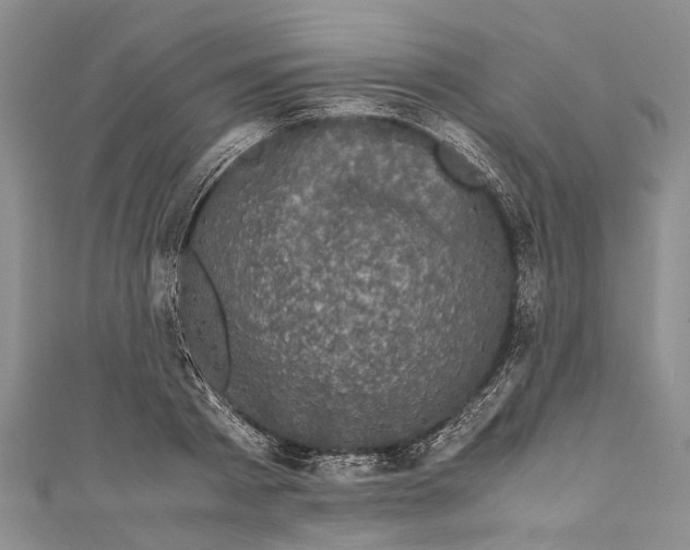 X0000110950793200907101306