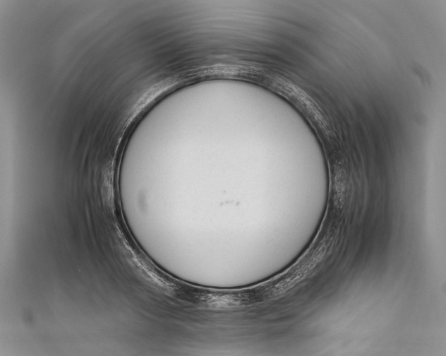 X0000110950794200907101306