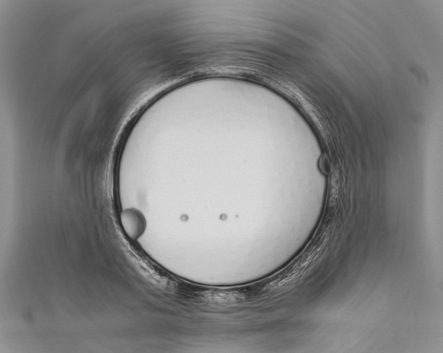 X0000110950795200907101306