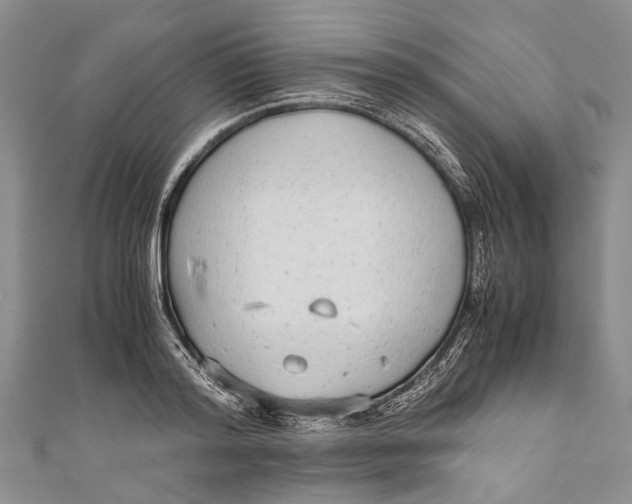 X0000110950796200907101306