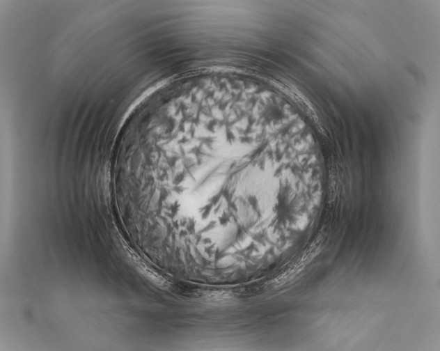 X0000110950798200907101306