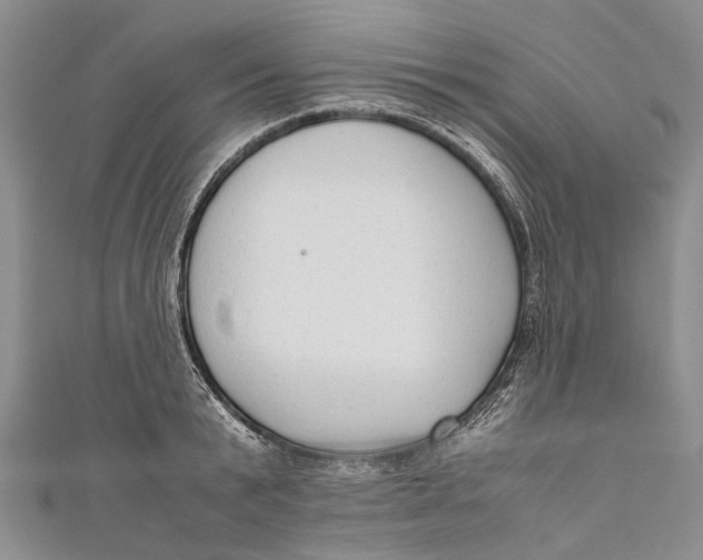 X0000110950799200907101306