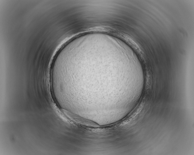 X0000110950800200907101306