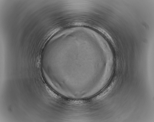 X0000110950801200907101306