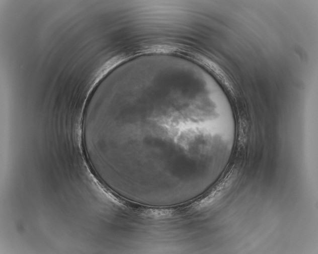 X0000110950802200907101306