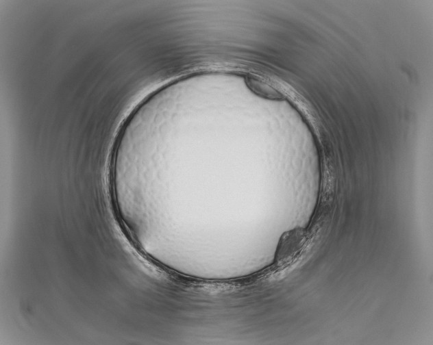 X0000110950803200907101306