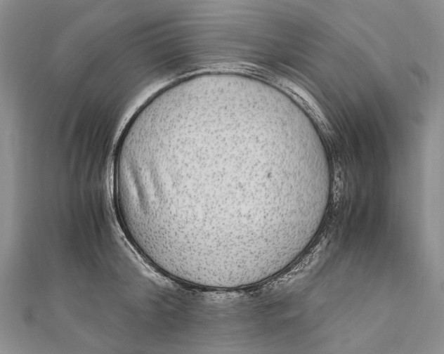 X0000110950804200907101306