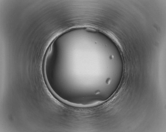 X0000110950805200907101306