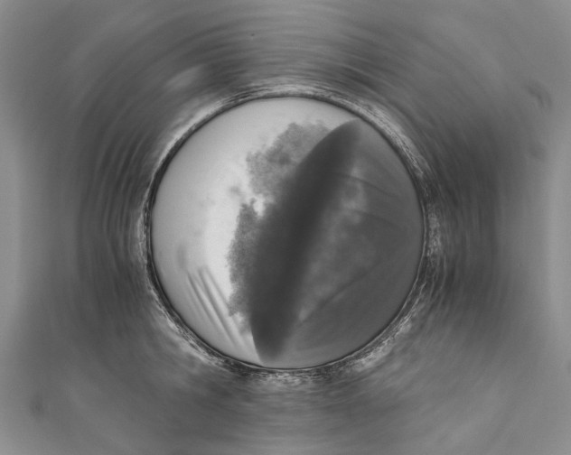 X0000110950806200907101306