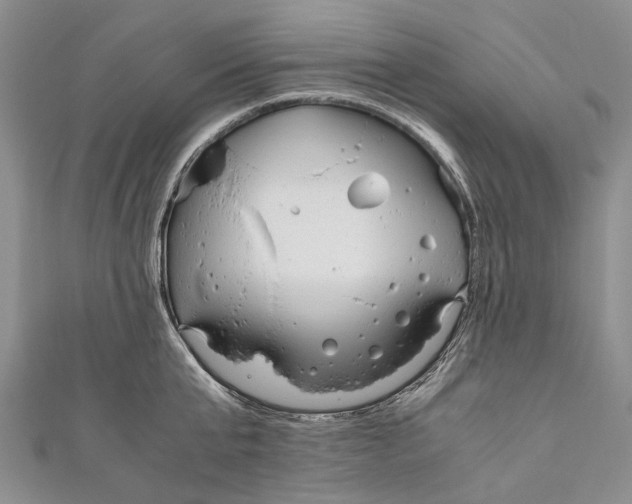 X0000110950807200907101306