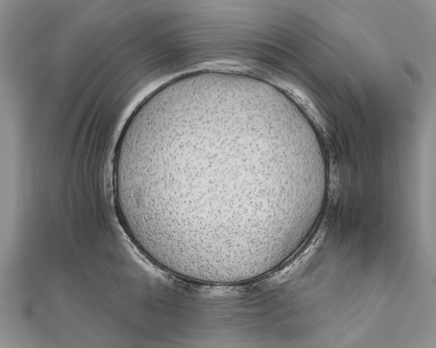 X0000110950808200907101306