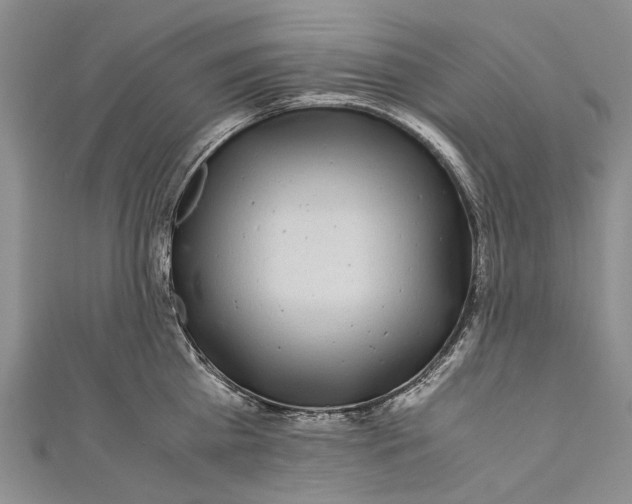 X0000110950809200907101306