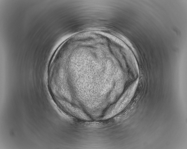 X0000110950811200907101306