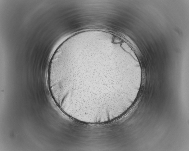 X0000110950812200907101306