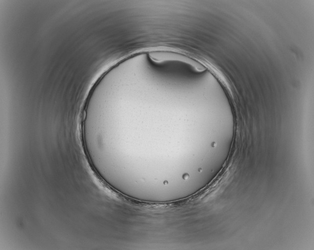 X0000110950813200907101306