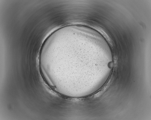 X0000110950814200907101306