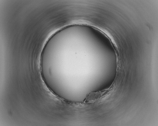 X0000110950815200907101306