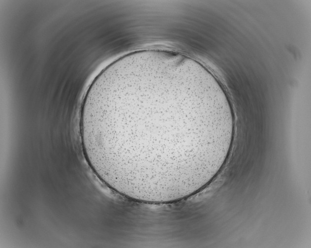 X0000110950816200907101306