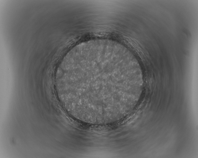 X0000110950817200907101305