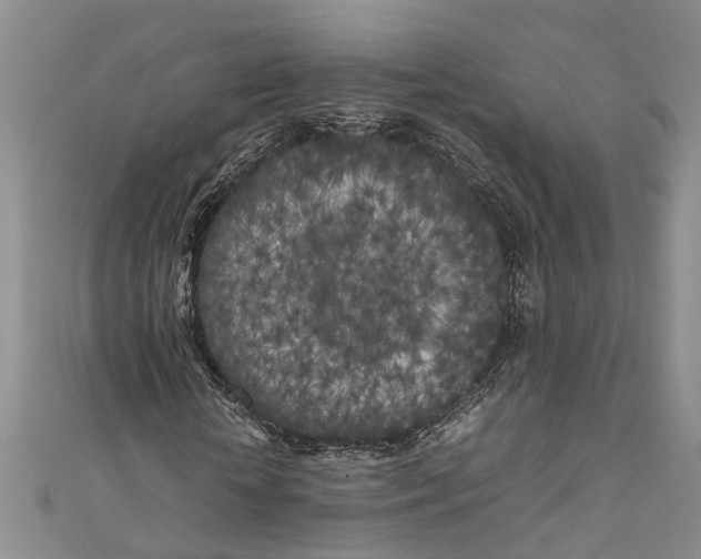 X0000110950818200907101305