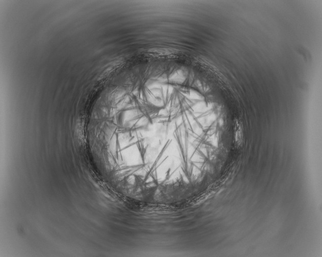 X0000110950819200907101305