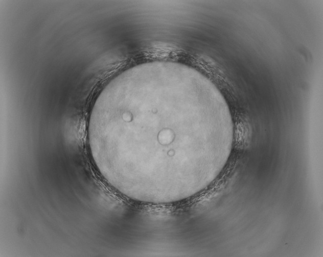 X0000110950820200907101305