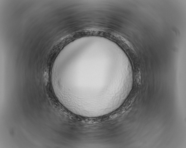 X0000110950821200907101305