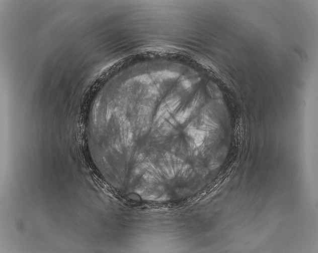 X0000110950822200907101305