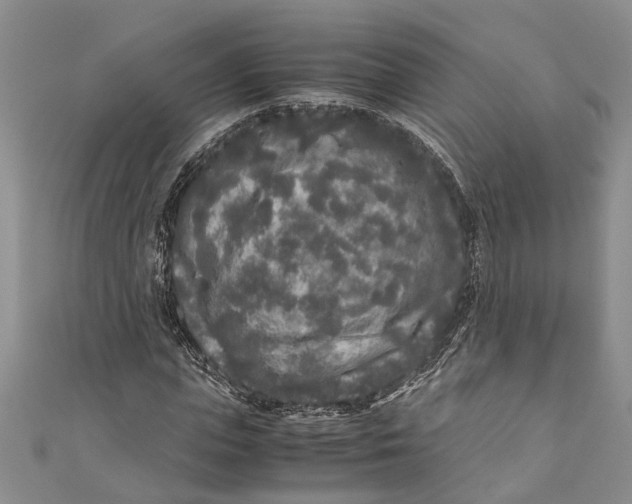 X0000110950823200907101305