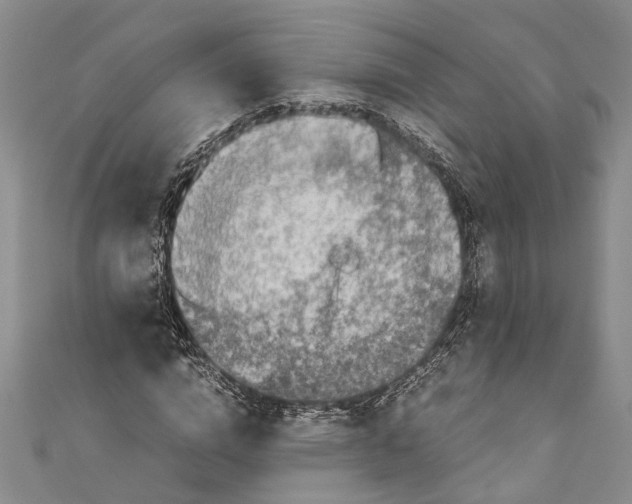 X0000110950824200907101305