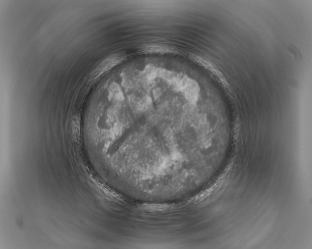 X0000110950825200907101305