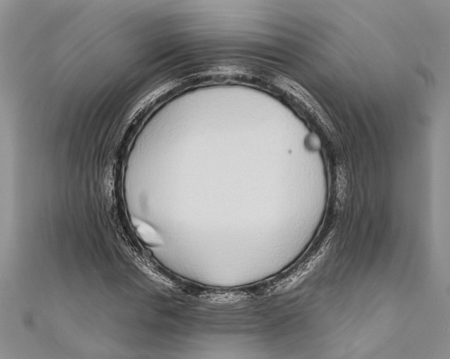 X0000110950826200907101305