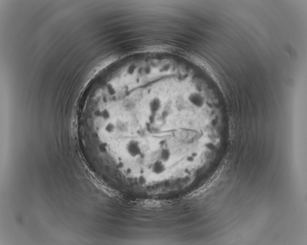 X0000110950827200907101305