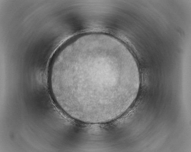 X0000110950828200907101305