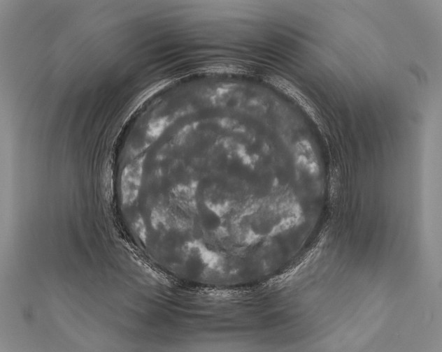 X0000110950829200907101305