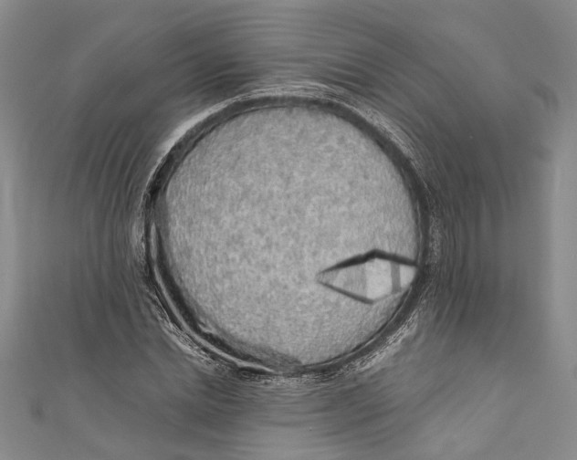 X0000110950830200907101305