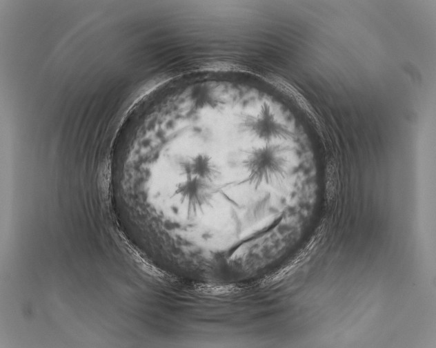 X0000110950831200907101305