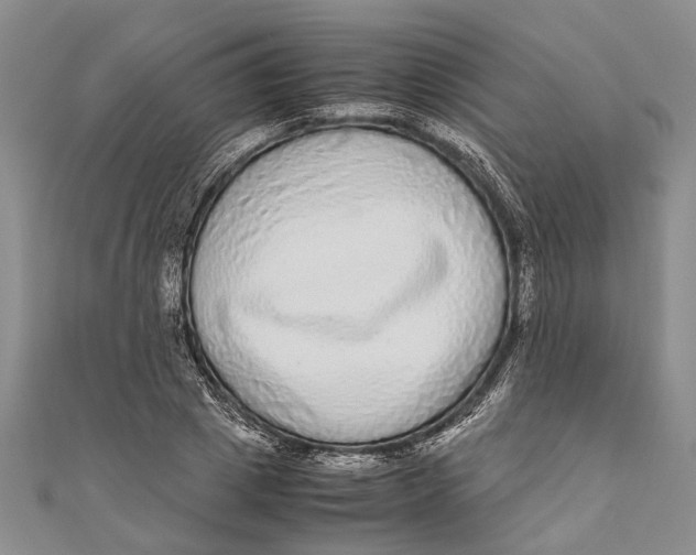 X0000110950833200907101305