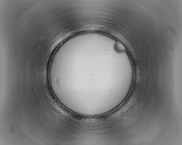 X0000110950834200907101305