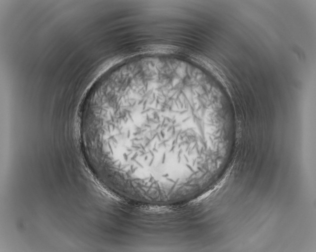 X0000110950835200907101305