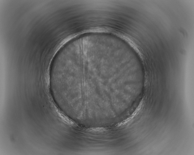 X0000110950837200907101305