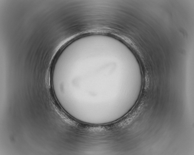 X0000110950838200907101305