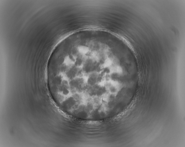 X0000110950839200907101305