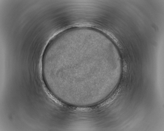 X0000110950840200907101305