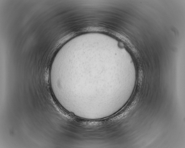 X0000110950841200907101305